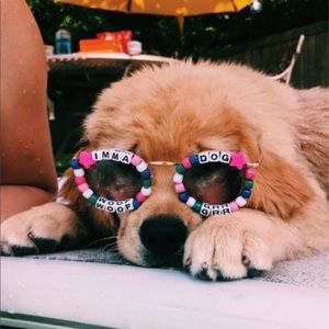 Meet your Posher, Sydney